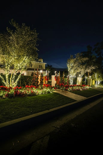Gallery photo 4 of Lights Up Today