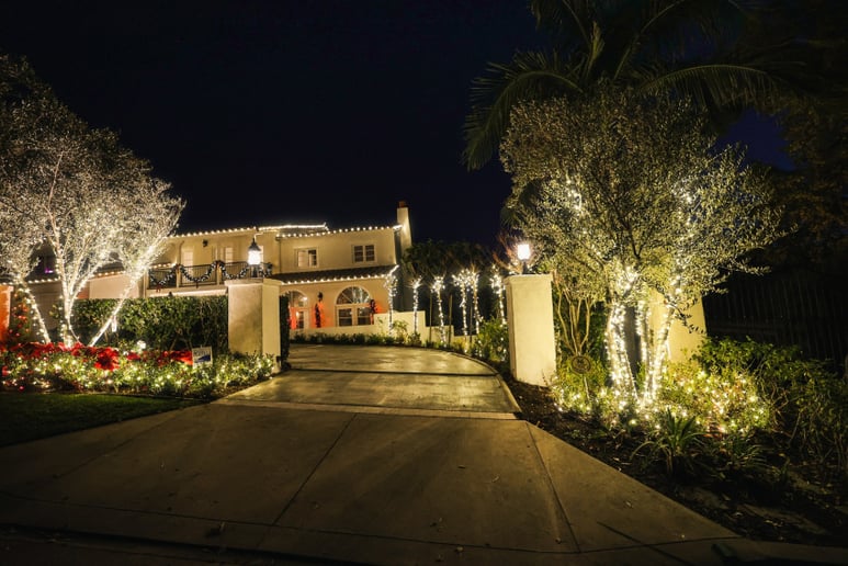 Gallery photo 5 of Lights Up Today