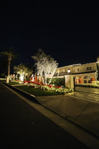 Gallery photo 6 of Lights Up Today