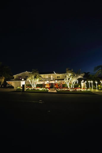 Gallery photo 9 of Lights Up Today