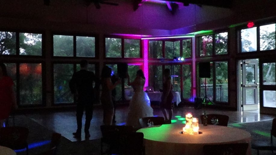 Gallery photo 7 of LightStream - LSWeddingDJ's