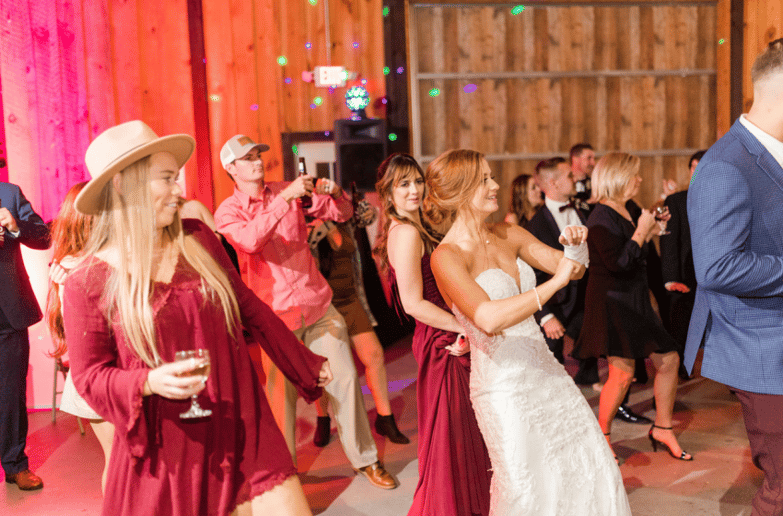 Gallery photo 5 of LightStream - LSWeddingDJ's