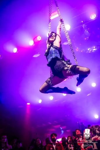 Gallery photo 2 of Lilith Unbound - Aerialist