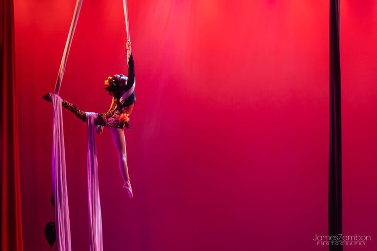 Gallery photo 5 of Lilith Unbound - Aerialist