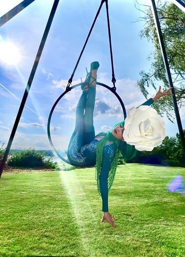 Gallery photo 7 of Lilly Circus