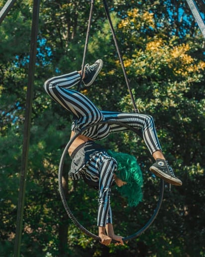 Gallery photo 8 of Lilly Circus
