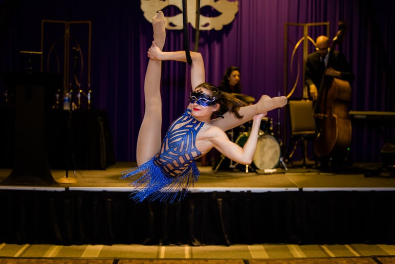 Gallery photo 2 of Lilly Circus