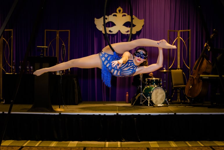 Gallery photo 1 of Lilly Circus