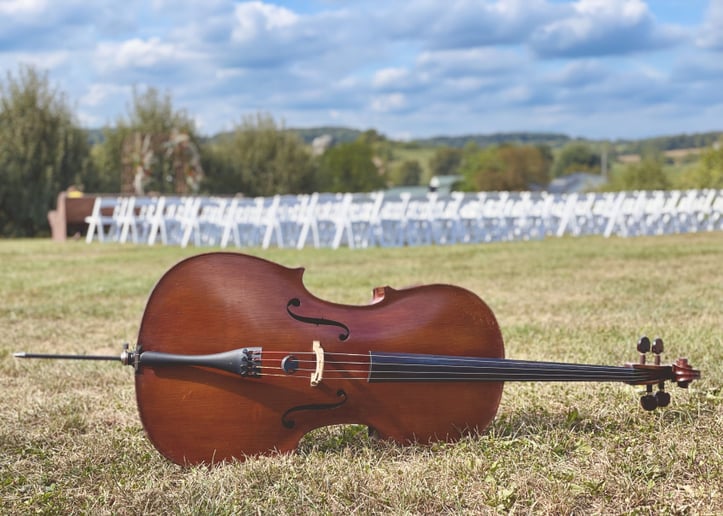 Gallery photo 7 of Cello With Lily, LLC