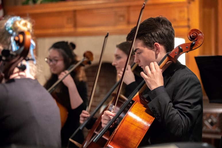 Gallery photo 10 of Cello With Lily, LLC
