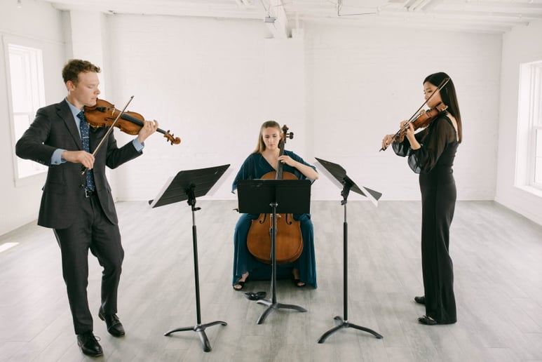 Gallery photo 1 of Cello With Lily, LLC