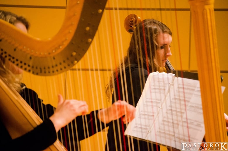 Gallery photo 4 of Cello With Lily, LLC