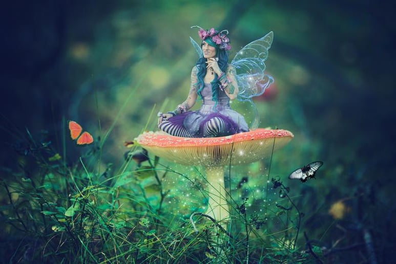 Gallery photo 5 of Lily the Fairy