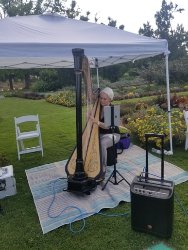 Gallery photo 3 of Linda Barton Paul, Harpist