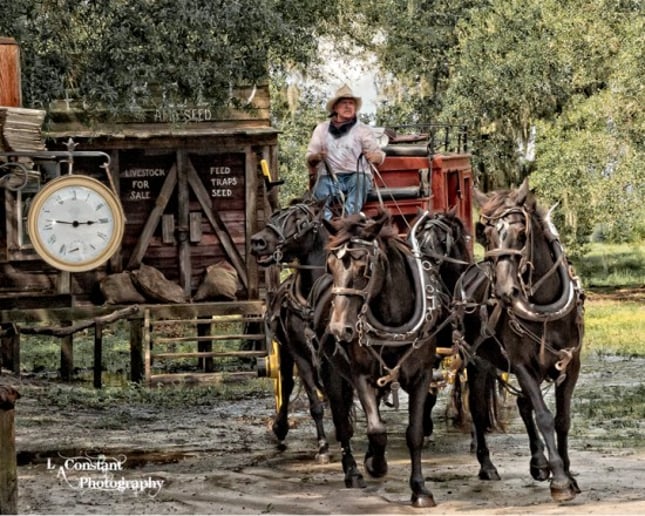 Gallery photo 1 of Linda Constant Photography