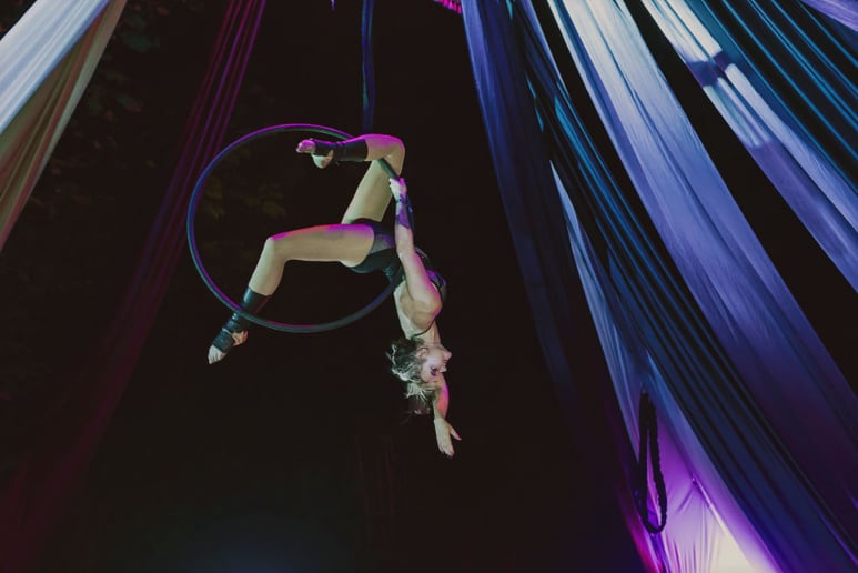 Gallery photo 2 of Lindsay Letharia Aerialist