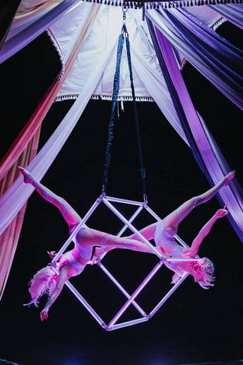 Gallery photo 6 of Lindsay Letharia Aerialist