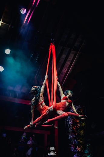 Gallery photo 7 of Lindsay Letharia Aerialist