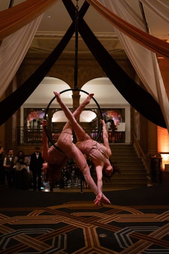 Gallery photo 8 of Lindsay Letharia Aerialist
