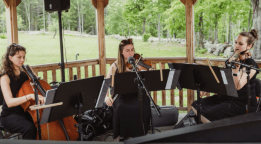 Gallery photo 6 of Lindsay Waller Music