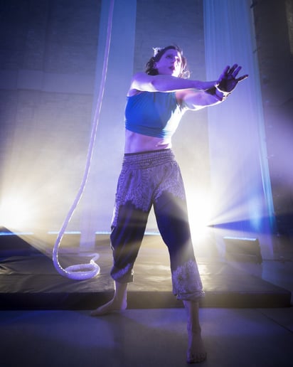 Gallery photo 1 of Lion or Fox - Aerial Performer