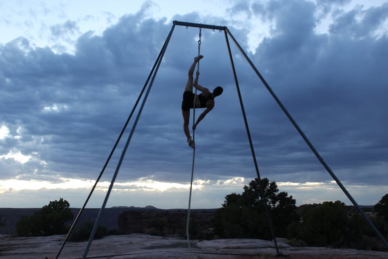 Gallery photo 4 of Lion or Fox - Aerial Performer