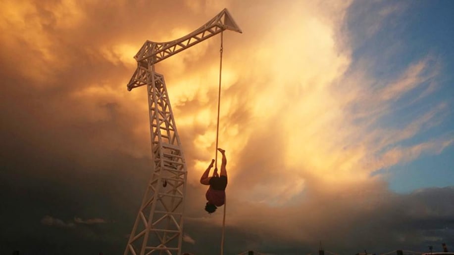 Gallery photo 6 of Lion or Fox - Aerial Performer