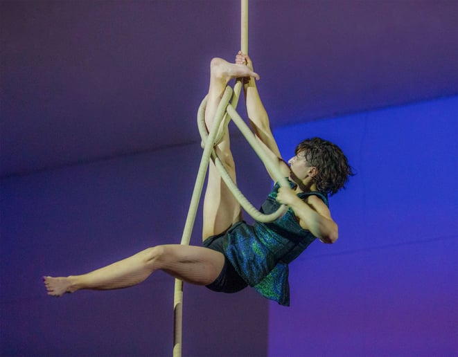 Gallery photo 7 of Lion or Fox - Aerial Performer