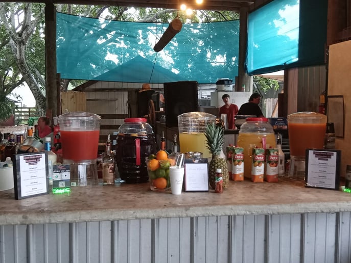 Gallery photo 7 of Liquid Nurse Mobile Bartending Service
