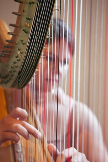 Gallery photo 3 of Lisanne Krautter Oklahoma Harpist