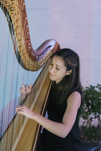 Gallery photo 9 of Liska Yamada Harp