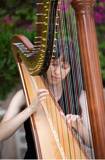 Gallery photo 4 of Liska Yamada Harp