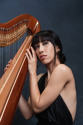 Gallery photo 1 of Liska Yamada Harp