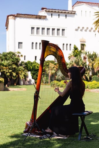 Gallery photo 6 of Liska Yamada Harp