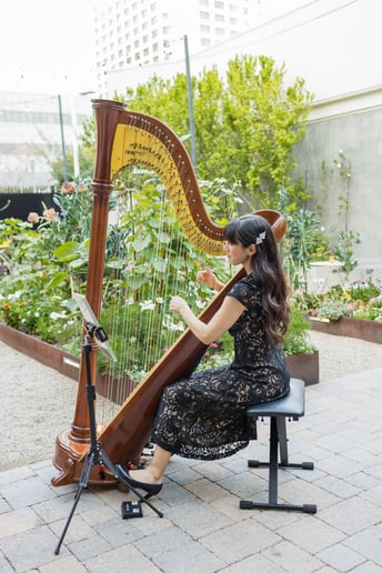 Gallery photo 5 of Liska Yamada Harp