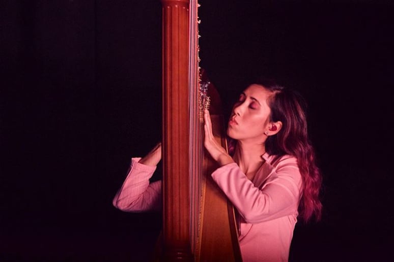 Gallery photo 3 of Liska Yamada Harp