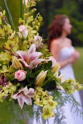 Gallery photo 1 of Little Shop of Flowers