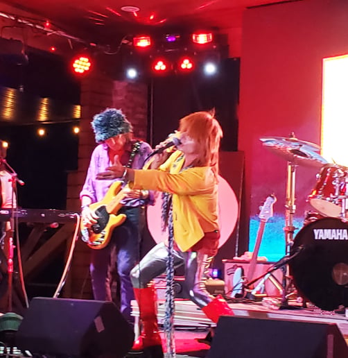 Gallery photo 1 of LIVE BOWIE Tribute