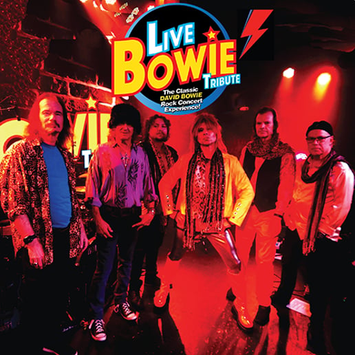 Gallery photo 2 of LIVE BOWIE Tribute