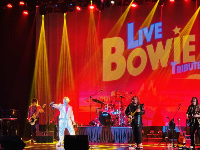 Gallery photo 3 of LIVE BOWIE Tribute