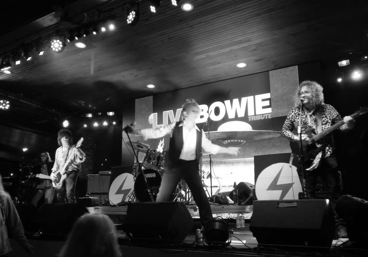 Gallery photo 5 of LIVE BOWIE Tribute