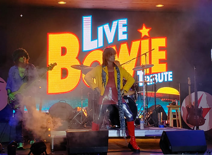 Gallery photo 6 of LIVE BOWIE Tribute