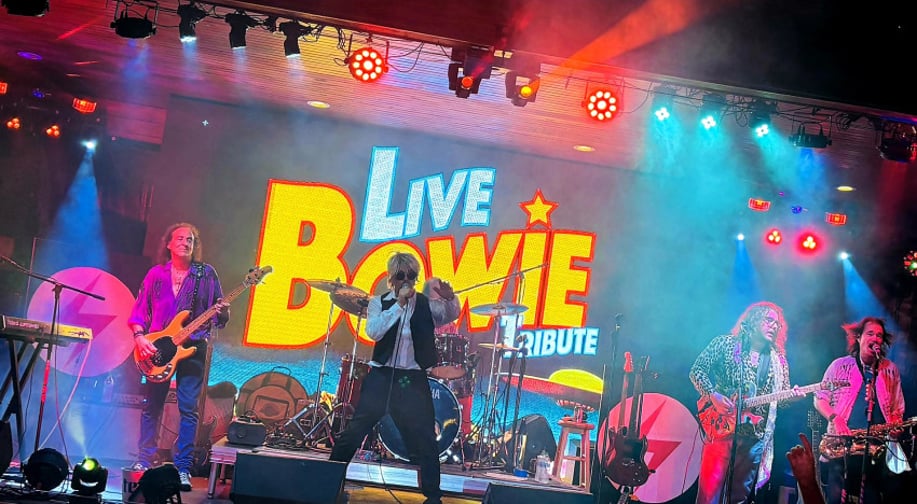 Gallery photo 8 of LIVE BOWIE Tribute