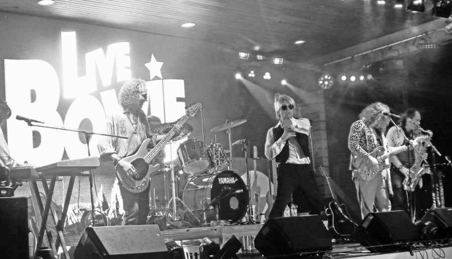 Gallery photo 9 of LIVE BOWIE Tribute