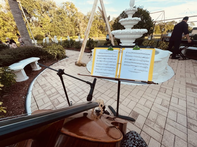 Gallery photo 4 of Live Classical Cellist - Solo or Chamber
