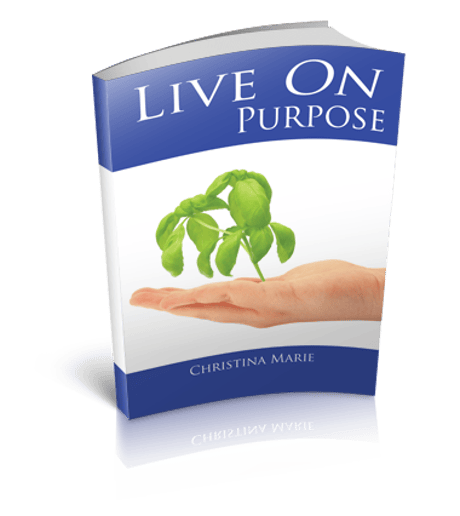 Gallery photo 1 of Live ON Purpose with Christina Marie