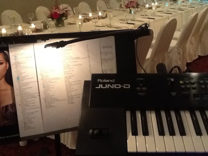 Gallery photo 5 of Live Piano Music
