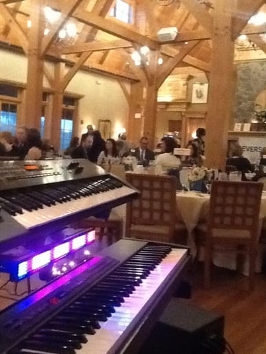 Gallery photo 8 of Live Piano Music