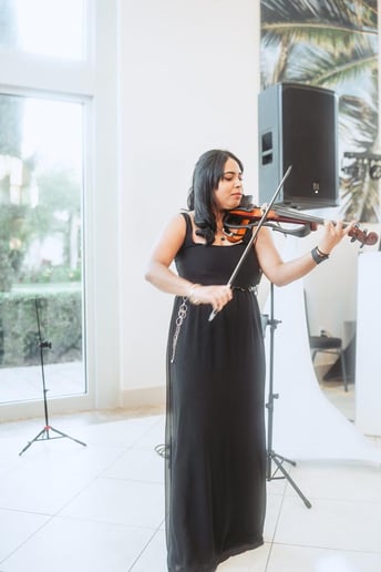 Gallery photo 1 of Live Violinist