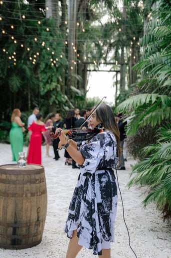 Gallery photo 8 of Live Violinist